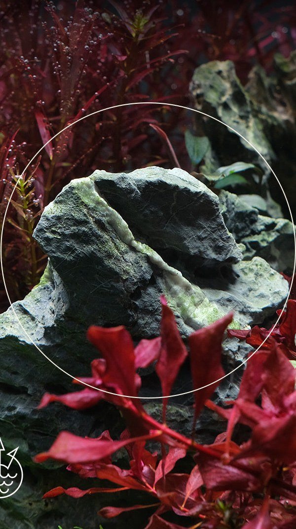 Green dust on Seiryu stone, 3 days after APT Fix