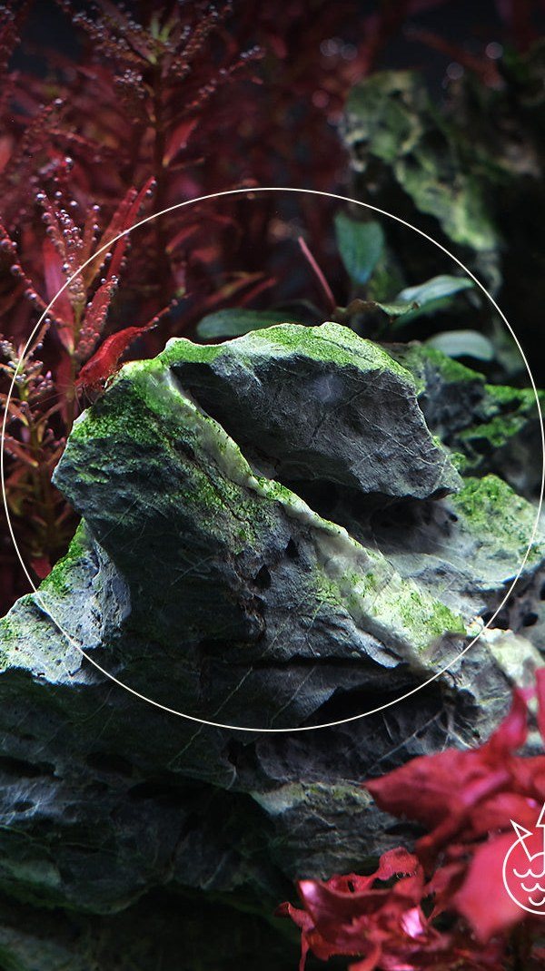 Green dust on Seiryu stone, before APT Fix