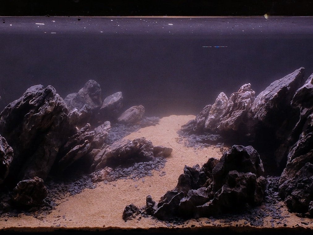 A new rock layout on fresh substrate, cycling before planting