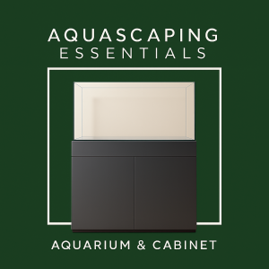 Aquariums & Cabinets